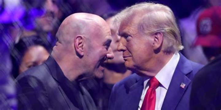Dana White Height, Weight, Net Worth, Age, Birthday, Wikipedia, Who, Nationality, Biography