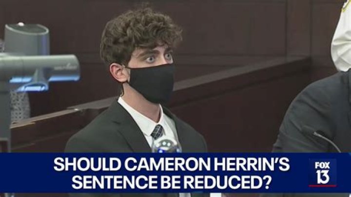
Fake Reports On Cameron Herrin Death Emerges As TikTok Star Is Set To Stand On Trail For Tampa Crash 