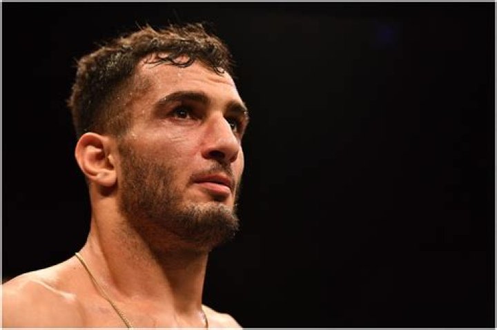 Gegard Mousasi Height, Weight, Net Worth, Age, Birthday, Wikipedia, Who, Nationality, Biography