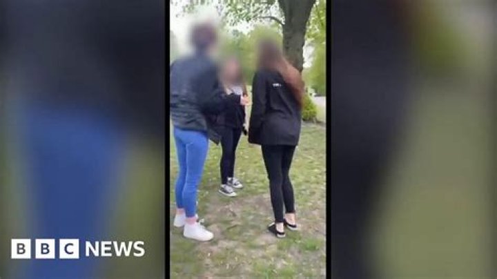 
Outside school, a 12-year-old girl was severely assaulted by dogs in front of horrified children. 