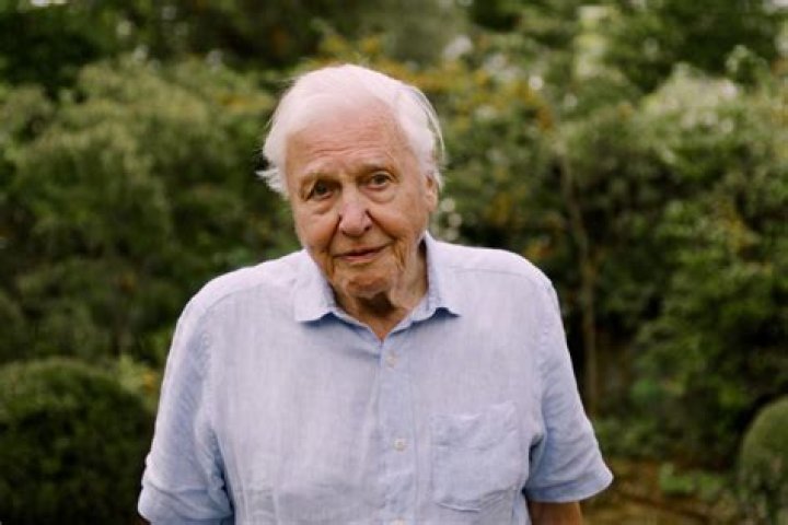 Robert Attenborough Height, Weight, Net Worth, Age, Birthday, Wikipedia, Who, Instagram, Biography