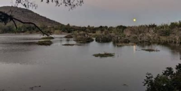 
TN wetland mission sanctions Rs 1.5 cr for restoration of 16 acre Otteri lake 